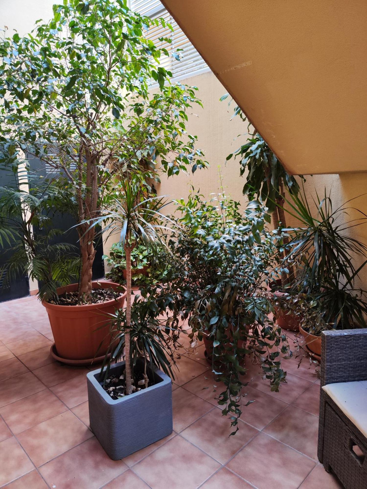 Malaga Experience Leilighet Eksteriør bilde